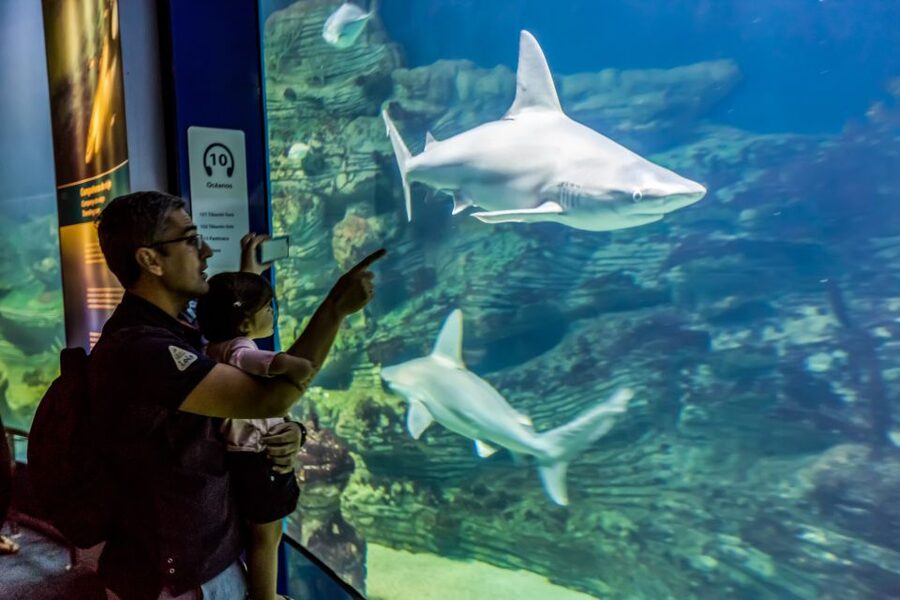 Valencia: Oceanogràfic Entry Ticket - The lower level: a trip through marine ecosystems