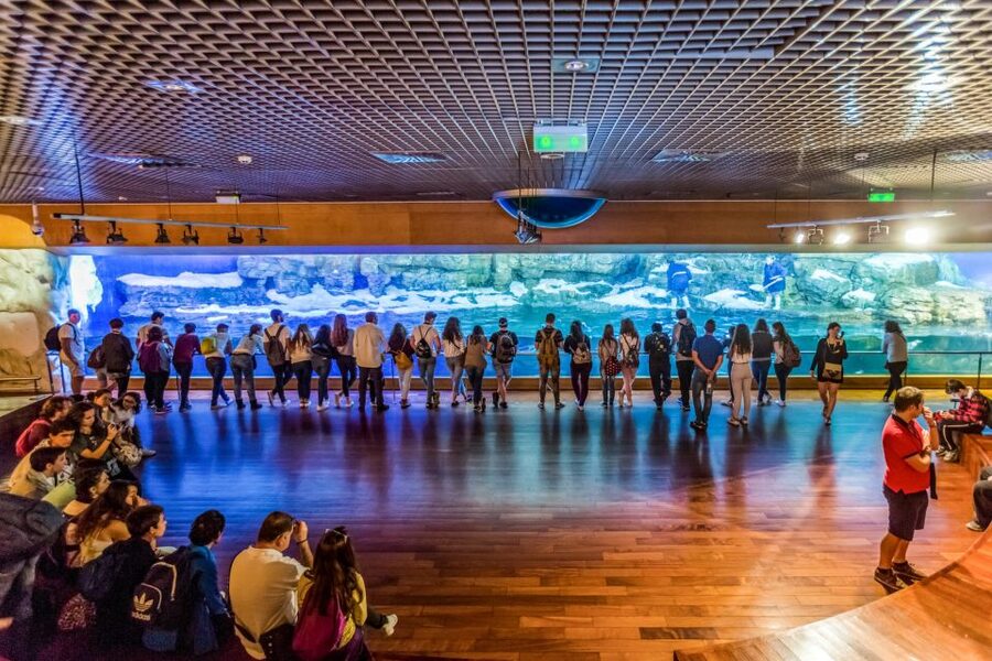 Valencia: Oceanogràfic Entry Ticket - Outdoor lakes and the bird areas