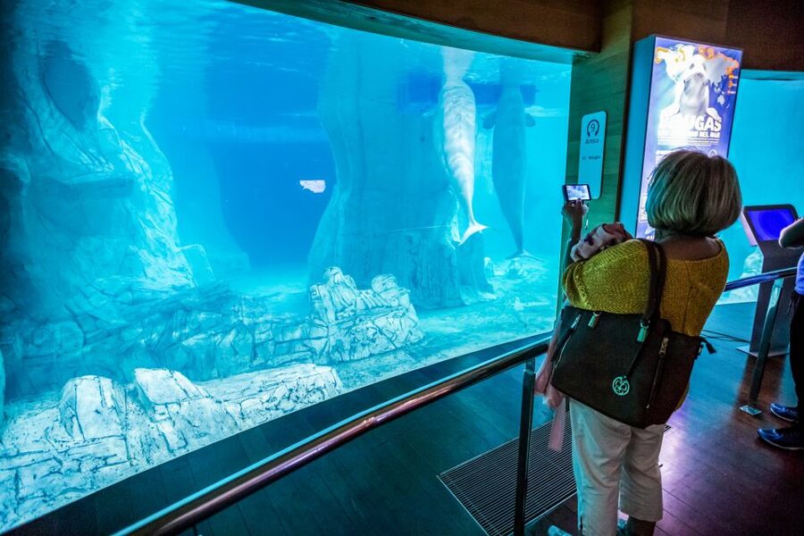 Valencia: Oceanogràfic Entry Ticket - How long should you spend inside?