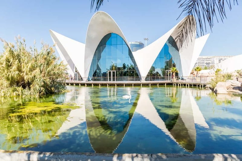 Valencia: Oceanogràfic, Hemisfèric & Science Museum Combo - Value at $54 per person