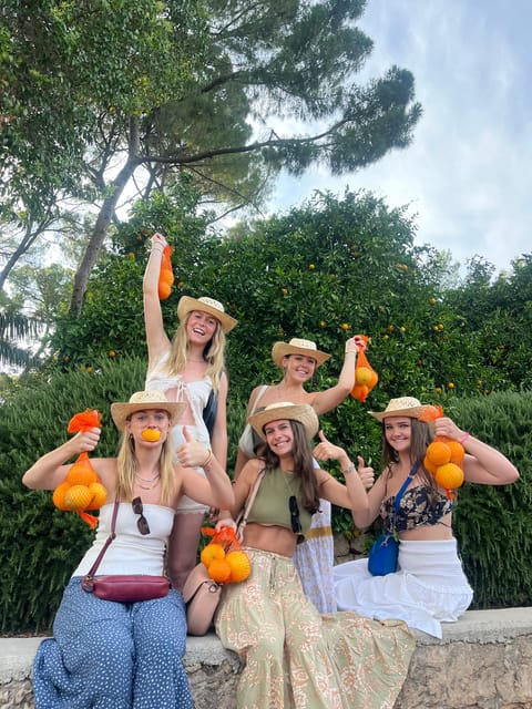 Valencia: Orange Farm and Orchard Trip with Tastings - Key points before you book