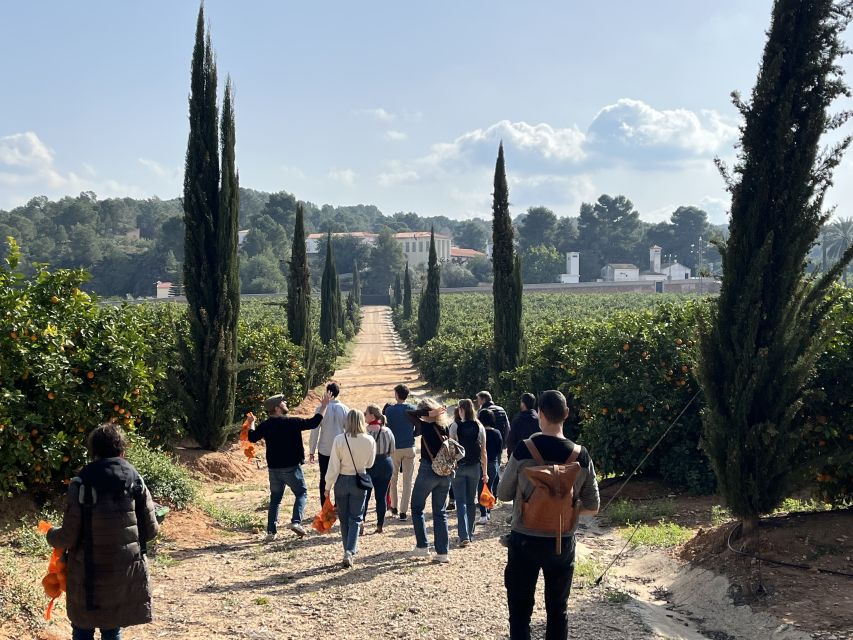 Valencia: Orange Farm and Orchard Trip with Tastings - Who will enjoy Huerto Ribera most
