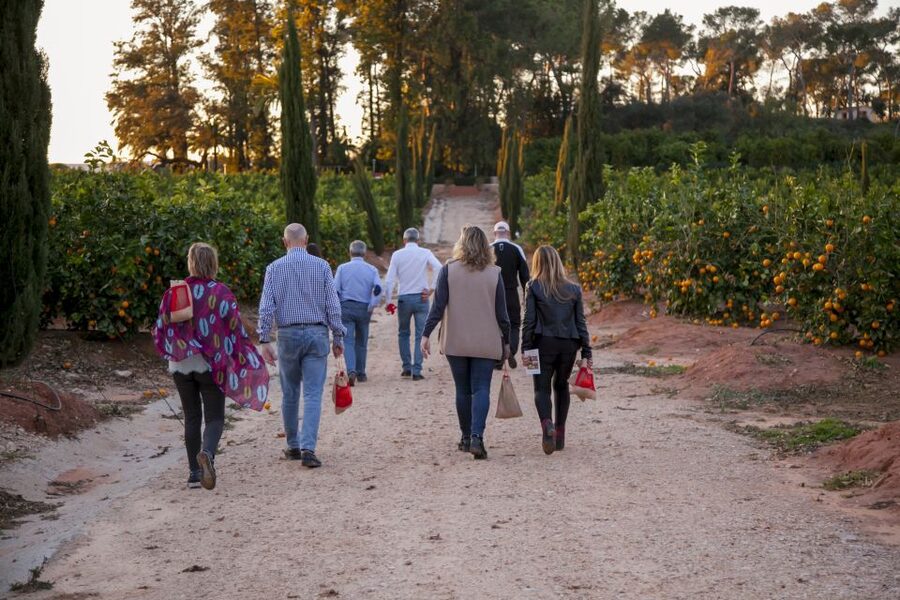 Valencia: Orange Farm and Orchard Trip with Tastings - Why this orange farm is worth leaving Valencia for