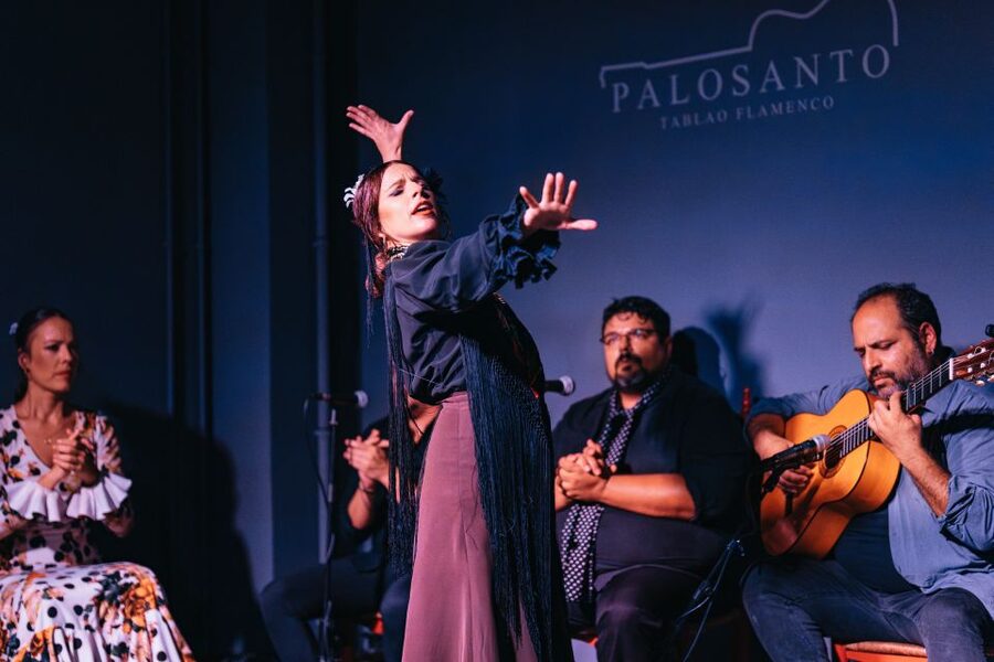 Valencia: Palosanto Flamenco Show Ticket - The bar and the small details that help