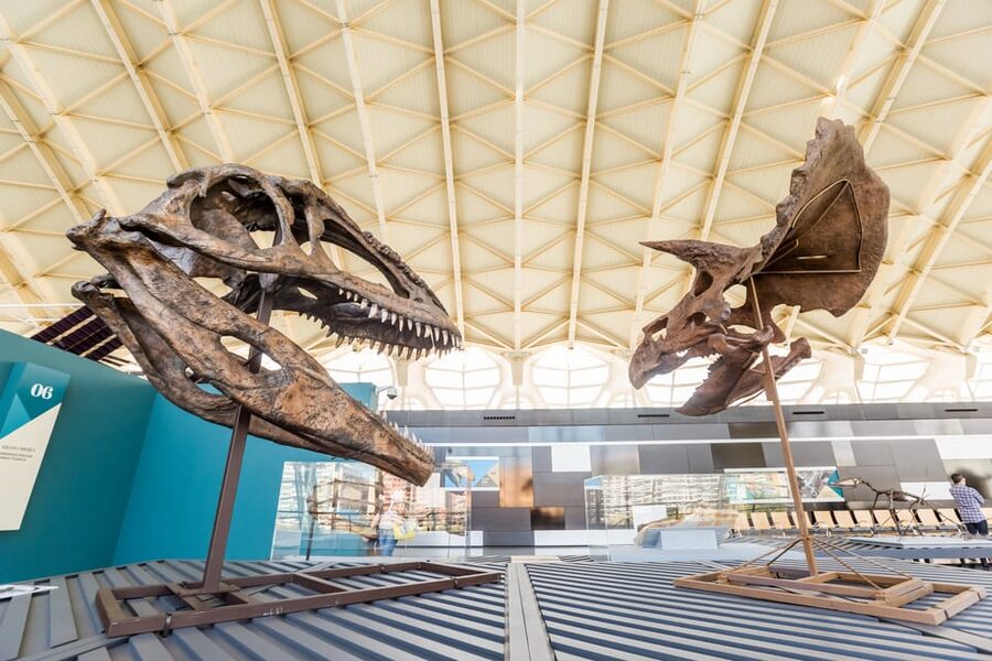 Valencia: Principe Felipe Science Museum Entry Ticket - Who will enjoy this museum most