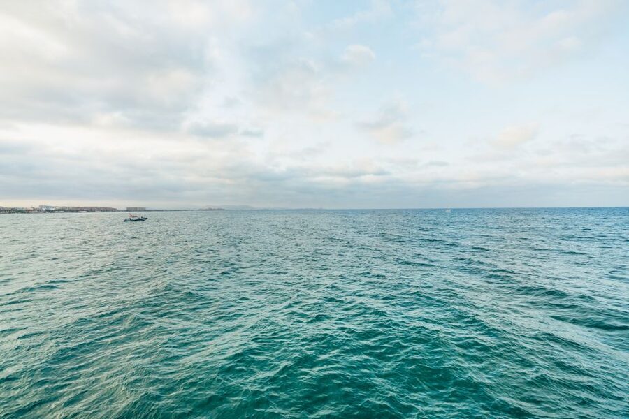 Valencia: Sunset or Daytime Catamaran Cruise with Drink - Booking and cancellation details