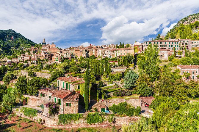 Valldemosa and Valley of Soller Tour in Mallorca - Guide quality and group size