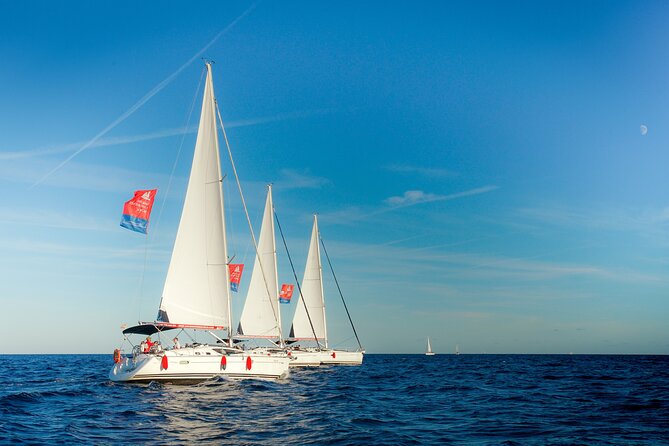 Vermut & Sailing Experience Barcelona with Drinks and Snacks - Vermouth, cava, and the snack plate