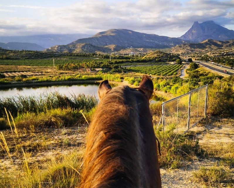Villajoyosa Horseback Riding in the Mountains with sea views - Meeting your horse at Club hípico Legend