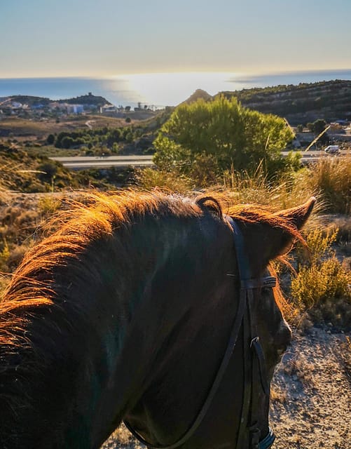 Villajoyosa Horseback Riding in the Mountains with sea views - What the ride feels like for a beginner