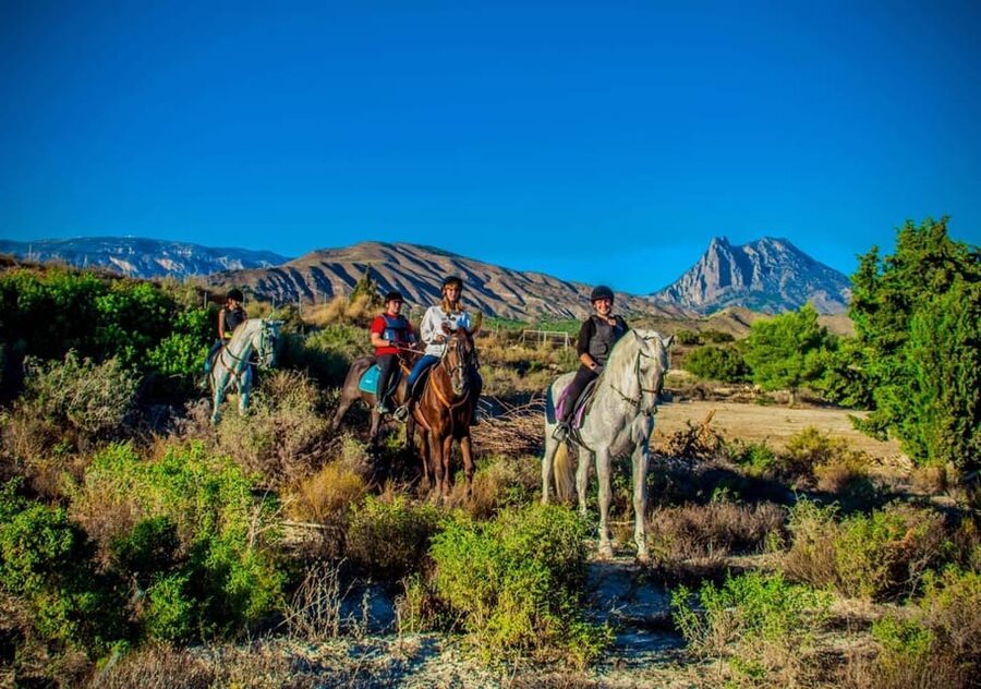 Villajoyosa Horseback Riding in the Mountains with sea views - The first hour on sandy mountain trails