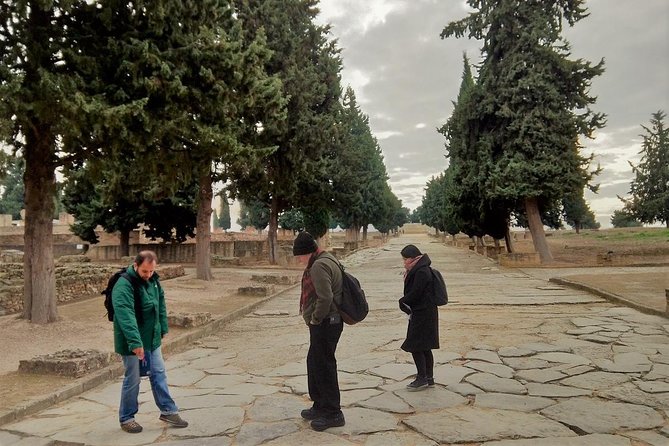 Visit to Italica Roman Ruins Tour tickets included - Entering the amphitheater
