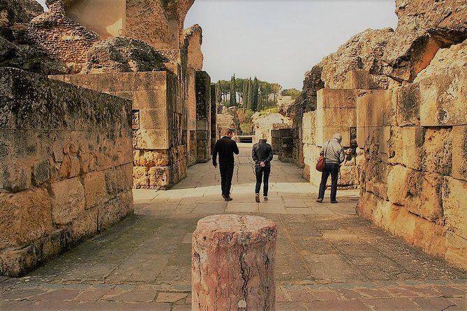 Visit to Italica Roman Ruins Tour tickets included - Meeting the guide in Santiponce