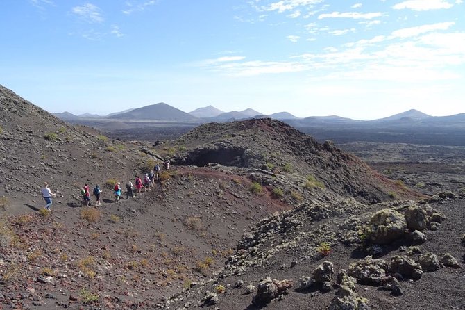 Volcano Trekking Tour (Timanfaya eruptions) - Is $50.81 good value?