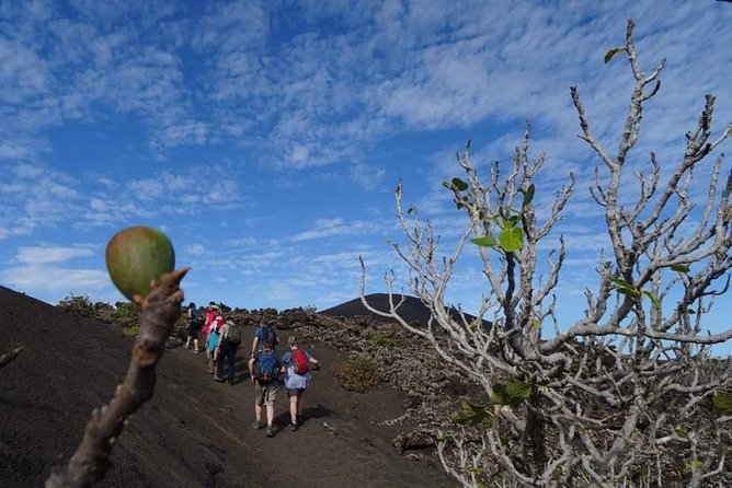 Volcano Trekking Tour (Timanfaya eruptions) - The 9:30 pickup and meeting point