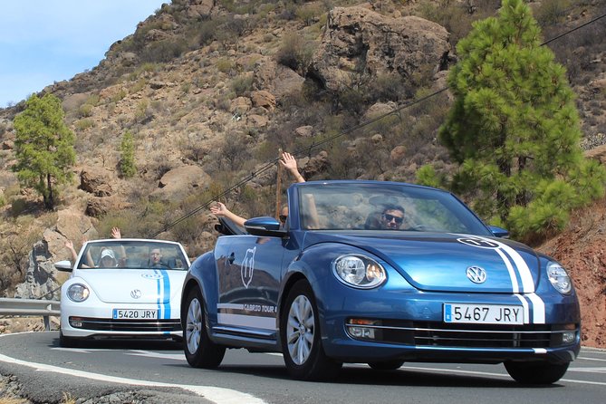 Vw Beetle Convertible Island tour Discover the island on a different way - From El Tablero toward the island interior
