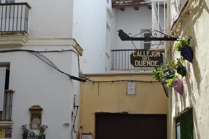 Walking Tour through Cádiz: Stories from the hand of a local guide - The Central Market is the most practical stop