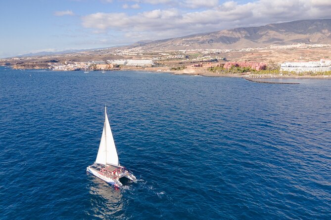 Watching and Listening Whales visiting Los Gigantes&Masca. Food&drinks included - Practical details that can shape your morning