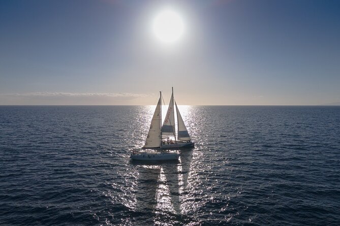 Watching and Listening Whales visiting Los Gigantes&Masca. Food&drinks included - Who will enjoy this Tenerife catamaran trip