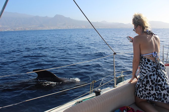 Whale and Dolphin Small Group Sailing from Tenerife South - Leaving Puerto Colón for open water