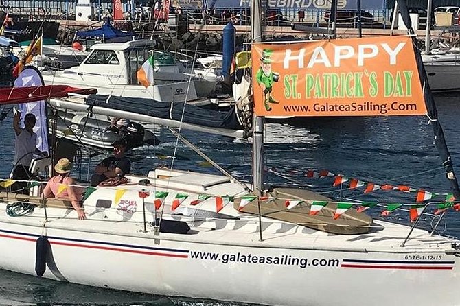 Whale and Dolphin Small Group Sailing from Tenerife South - Snacks, breakfast, and the onboard atmosphere