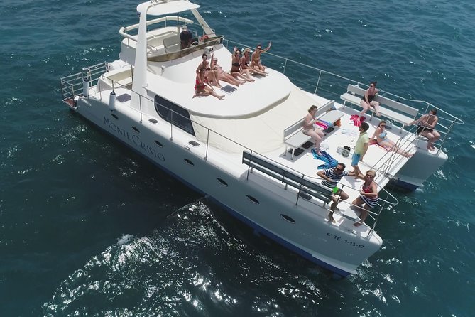 Whale and Dolphin Watching Catamaran with Transfer and Buffet - At a glance
