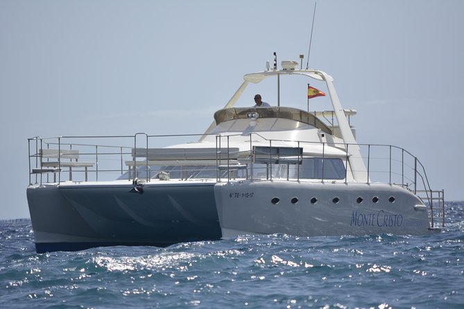Whale and Dolphin Watching Catamaran with Transfer and Buffet - Why pilot whales make this Tenerife cruise special