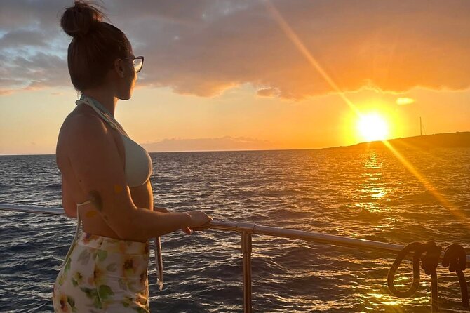 Whale and Dolphin Watching Catamaran with Transfer and Buffet - The final sail along Tenerife’s south coast