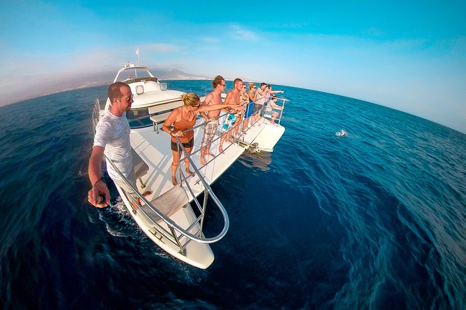 Whale and Dolphin Watching Catamaran with Transfer and Buffet - A calm start from Puerto Colón