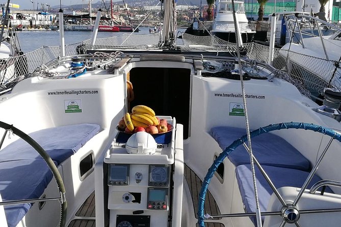 Whale and Dolphin Watching Sailing Boat with Drinks, Snacks and Swimming Time - Sea conditions, seasickness, and safety