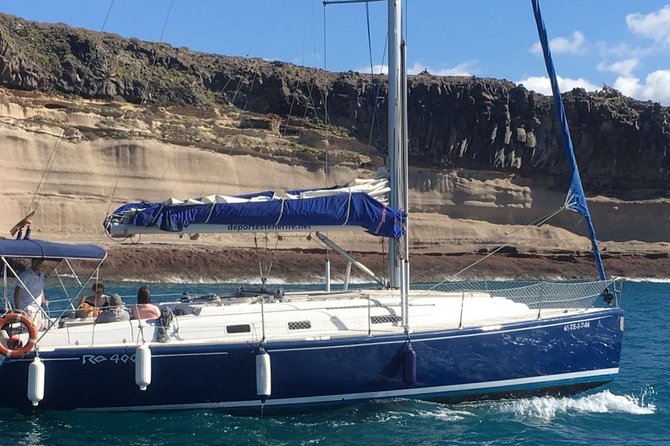 Whale and Dolphin Watching Sailing Boat with Drinks, Snacks and Swimming Time - Who will enjoy this boat trip most