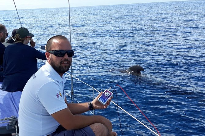 Whale and Dolphin Watching Sailing Boat with Drinks, Snacks and Swimming Time - Booking details that can affect your day