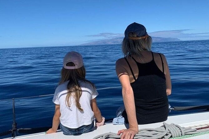 Whale and Dolphin Watching Yacht Trip in Puerto Colon - Choosing the right departure time