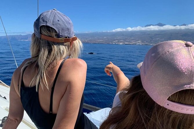 Whale and Dolphin Watching Yacht Trip in Puerto Colon - Booking, timing, and cancellation advice