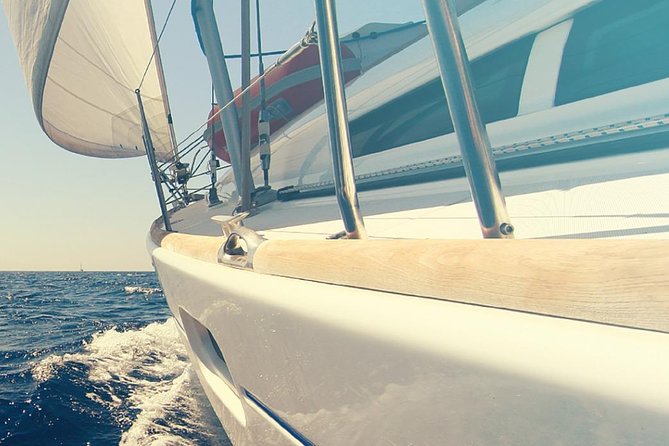 Whale and Dolphin Watching Yacht Trip in Puerto Colon - The whale and dolphin search