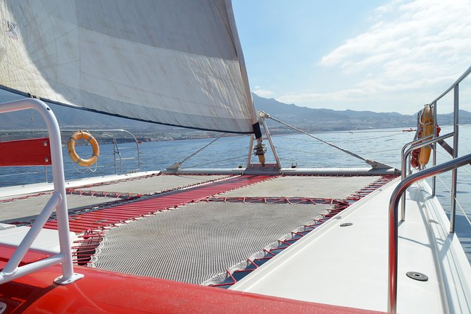 Whale watching and listening Eco-Catamaran Tour with Food Tasting - At a glance