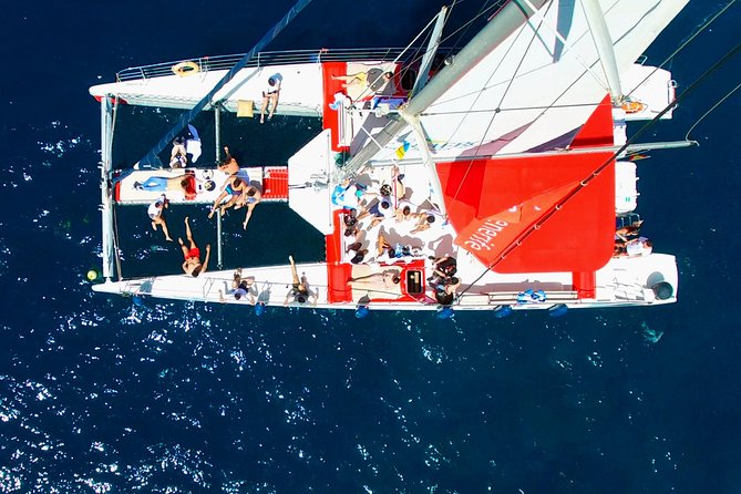 Whale watching and listening Eco-Catamaran Tour with Food Tasting - Watching whales and dolphins along Tenerife’s south coast