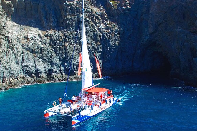 Whale watching and listening Eco-Catamaran Tour with Food Tasting - Weather, comfort, and who should go