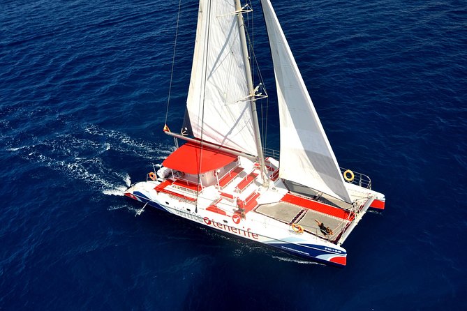 Whale watching and listening Eco-Catamaran Tour with Food Tasting - Leaving Puerto Colón for the open water