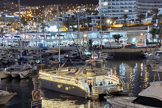 Whale Watching Catamaran Cruise with Transfer, Buffet by MC - Drinks, fruit, and a practical buffet