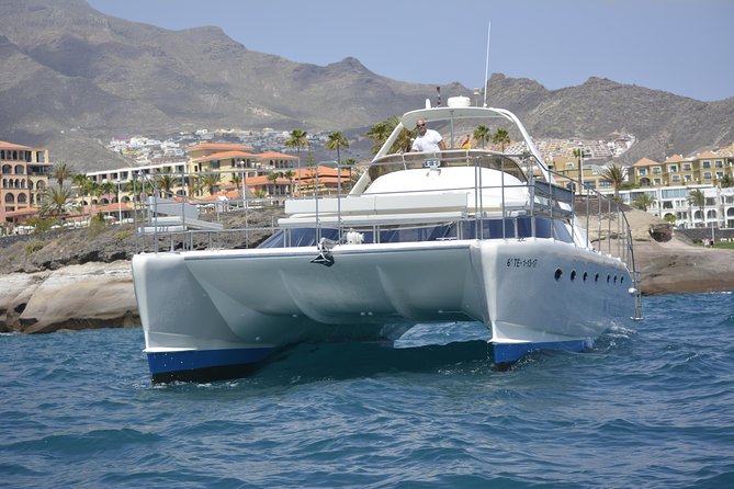Whale Watching Catamaran Cruise with Transfer, Buffet by MC - Seasickness, sun, and what to bring