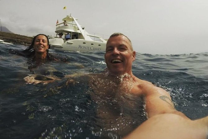Whale Watching Catamaran Cruise with Transfer, Buffet by MC - Is $71.35 good value?