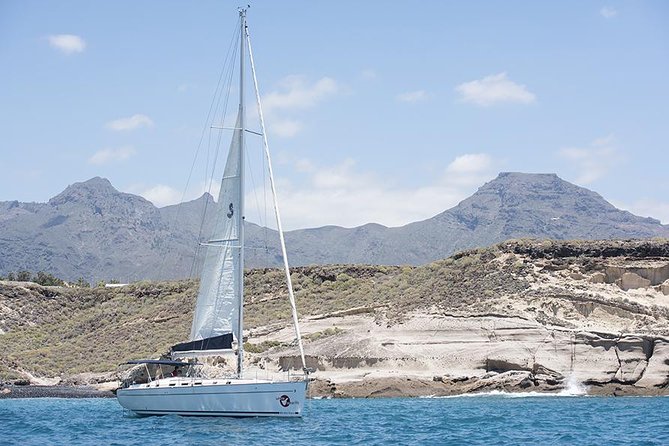 Whales & Dolphins watching in exclusive sailboat - The swim stop and simple onboard lunch