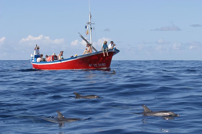 Whalewatching La Gomera - Key points to know before booking