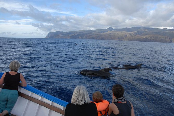 Whalewatching La Gomera - A quieter approach to wildlife
