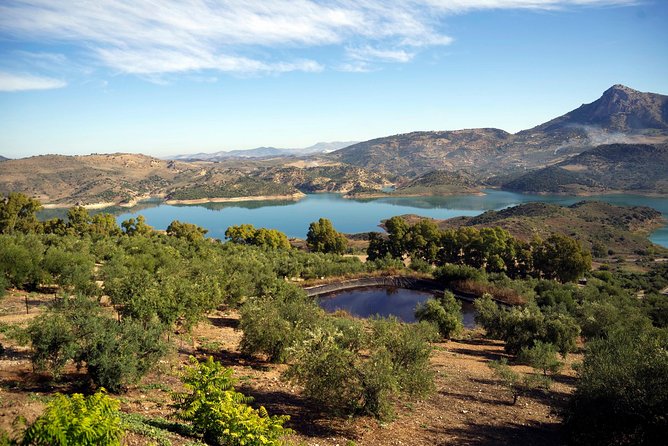 White Villages and Ronda Day Tour from Seville - Key points to know before booking