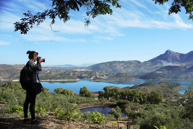 White Villages and Ronda Day Tour from Seville - Why this day trip works from Seville
