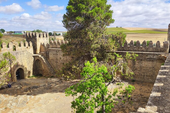 White Villages and Ronda Day Tour from Seville - What the guide adds to the day