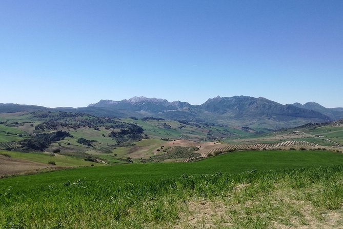 White Villages and Ronda Day Trip from Seville - Weather, walking, and the nine-hour pace