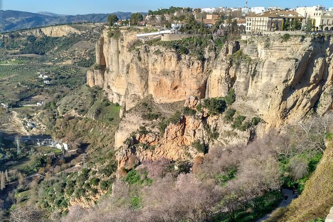 White Villages and Ronda Guided Day Tour from Seville - Grazalema and the question of lunch